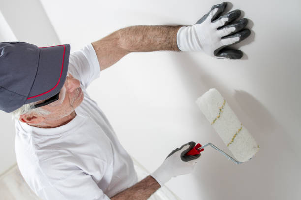 Mold Remediation for Vacation Homes in West Wood, UT