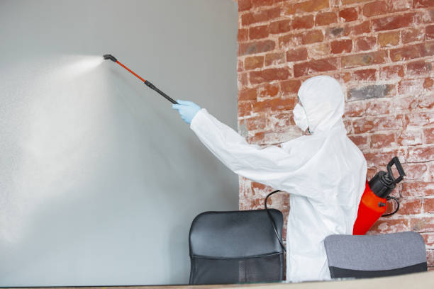  West Wood, UT Mold Removal Pros