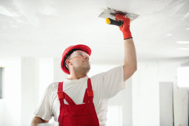 Best Mold Removal for HVAC Installations  in West Wood, UT