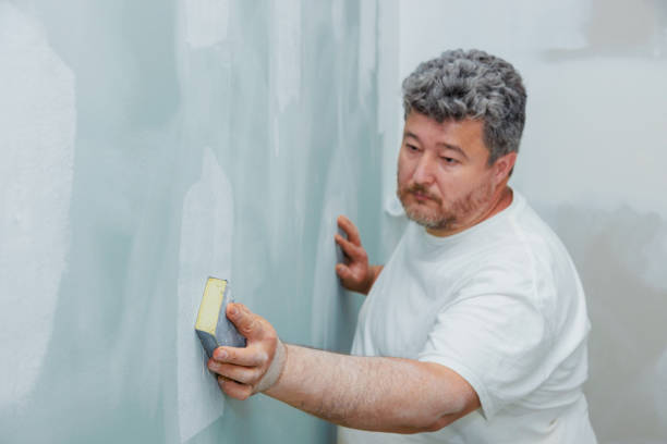 Best Industrial Mold Remediation  in West Wood, UT