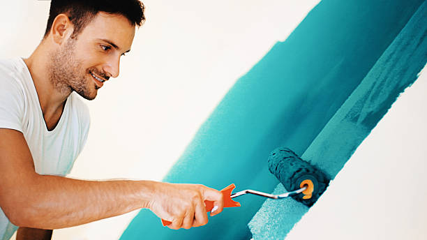Best Black Mold Removal  in West Wood, UT
